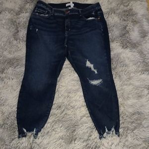 Lane Bryant jeans